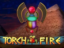 Torch of Fire screenshot